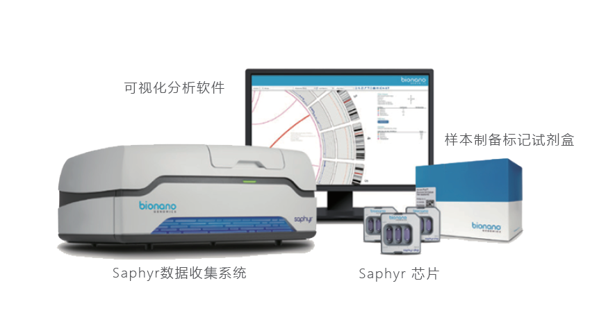 基因组染色体结构变异检测
